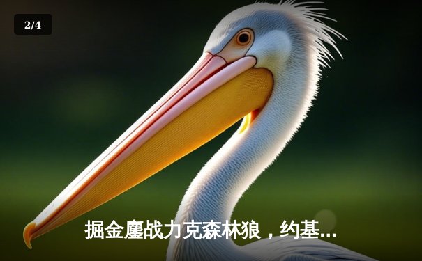 掘金鏖战力克森林狼，约基奇40+13率队捍卫主场扳平系列赛 - 2